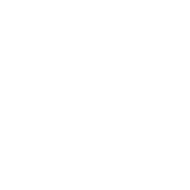 Secure Digital Ownership